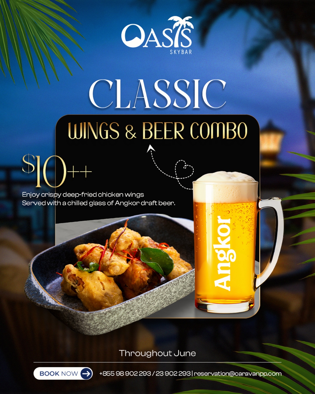 Classic Wings & Beer Combo